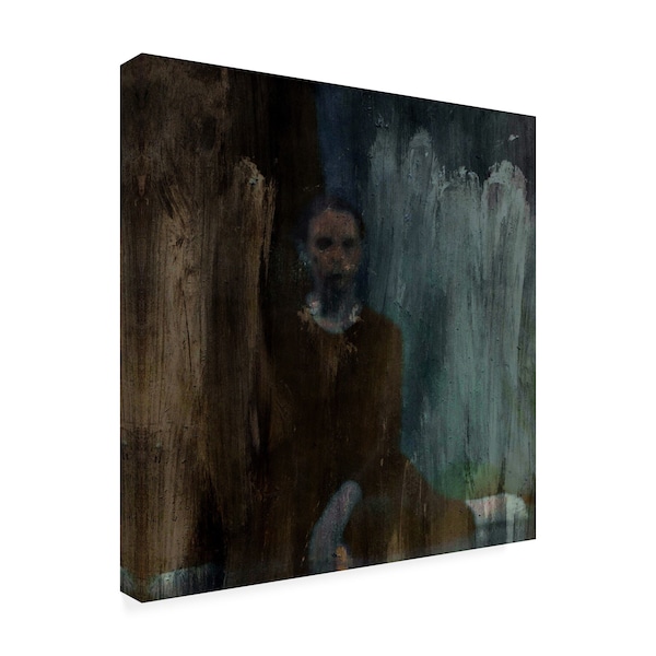 Dalibor Davidovic 'Shadows Portrait Blurred' Canvas Art,14x14